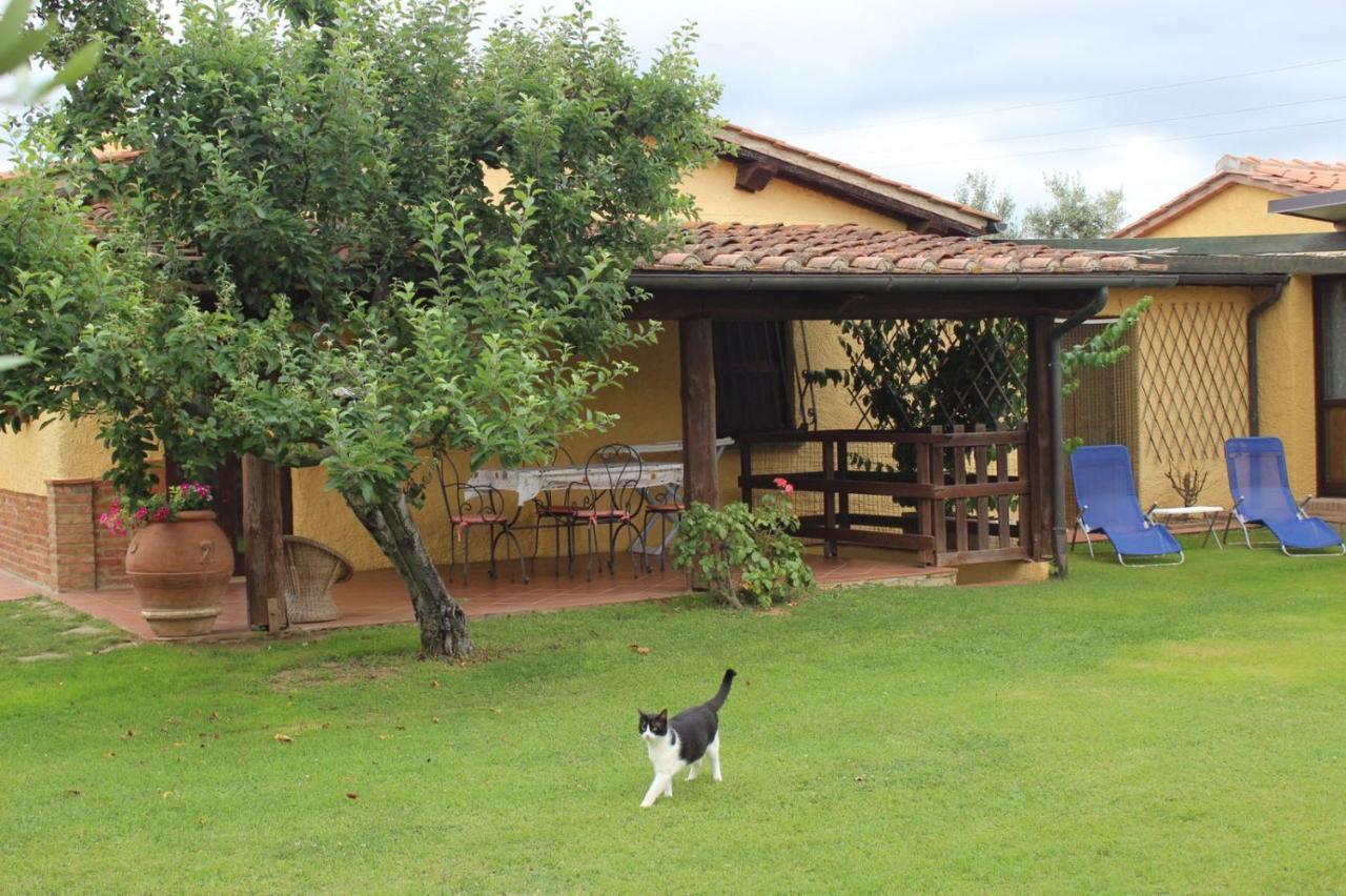 Podere Serena กัสตาลเญโต การ์ดุชชี ภายนอก รูปภาพ