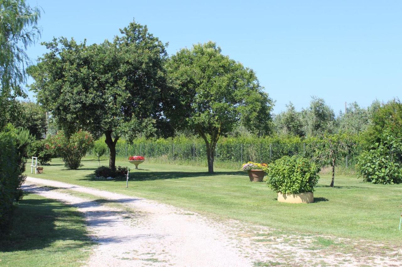 Podere Serena กัสตาลเญโต การ์ดุชชี ภายนอก รูปภาพ