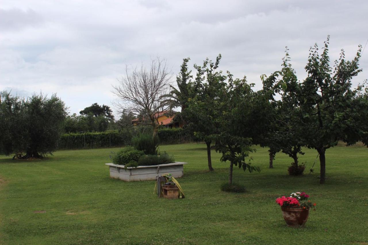Podere Serena กัสตาลเญโต การ์ดุชชี ภายนอก รูปภาพ